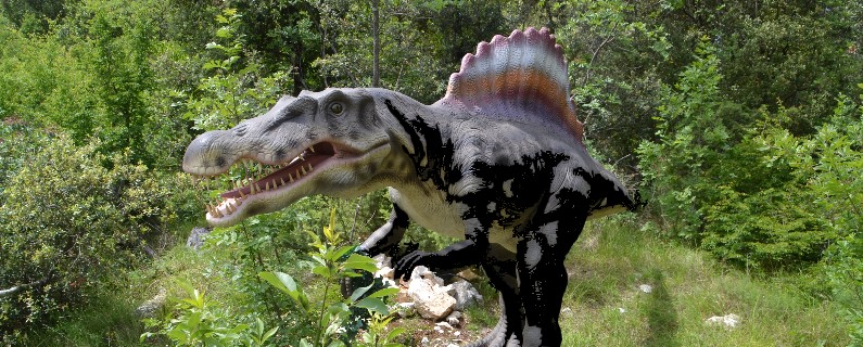 Dinopark Funtana Porec Dinopark Funtana Porec