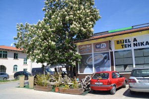 WiFi Cafe