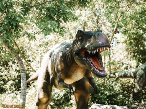 Dino